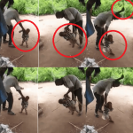 Police and Huma Rights Activists Hunt for man abusing baby (Viral Video) Help Police Effort In Rescuing A Child Being Abused In A Viral Video!